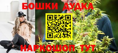 индика Донецк