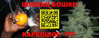индика Донецк