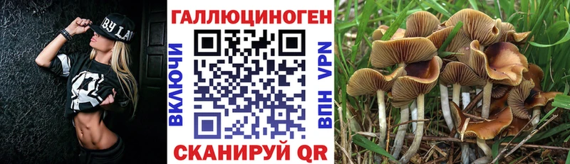 mega рабочий сайт  Первоуральск  Галлюциногенные грибы прущие грибы  наркота 